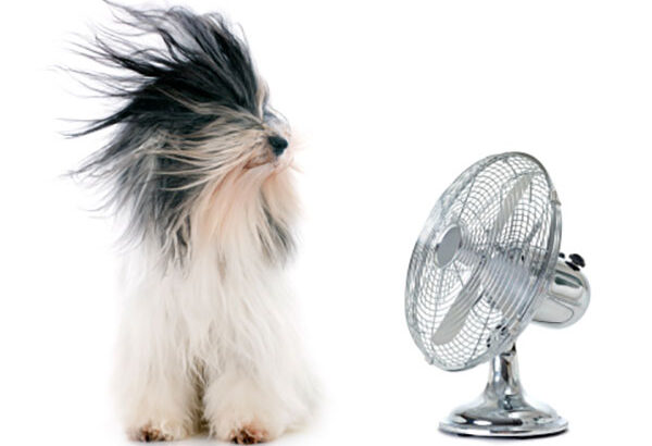 Lower AC Use For Energy Efficiency By Using Ceiling Fans
