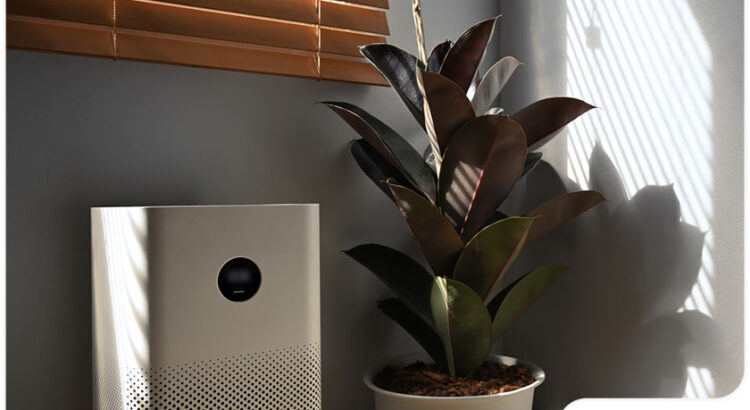 Indoor Quality Air Purifier