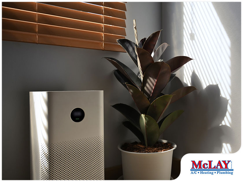 Indoor Quality Air Purifier