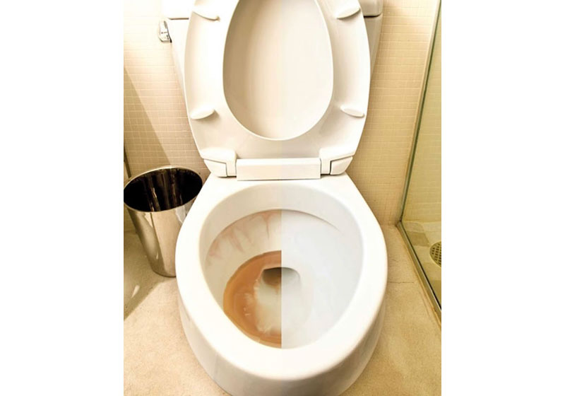 Toilet Repair and Cleaning Before and After